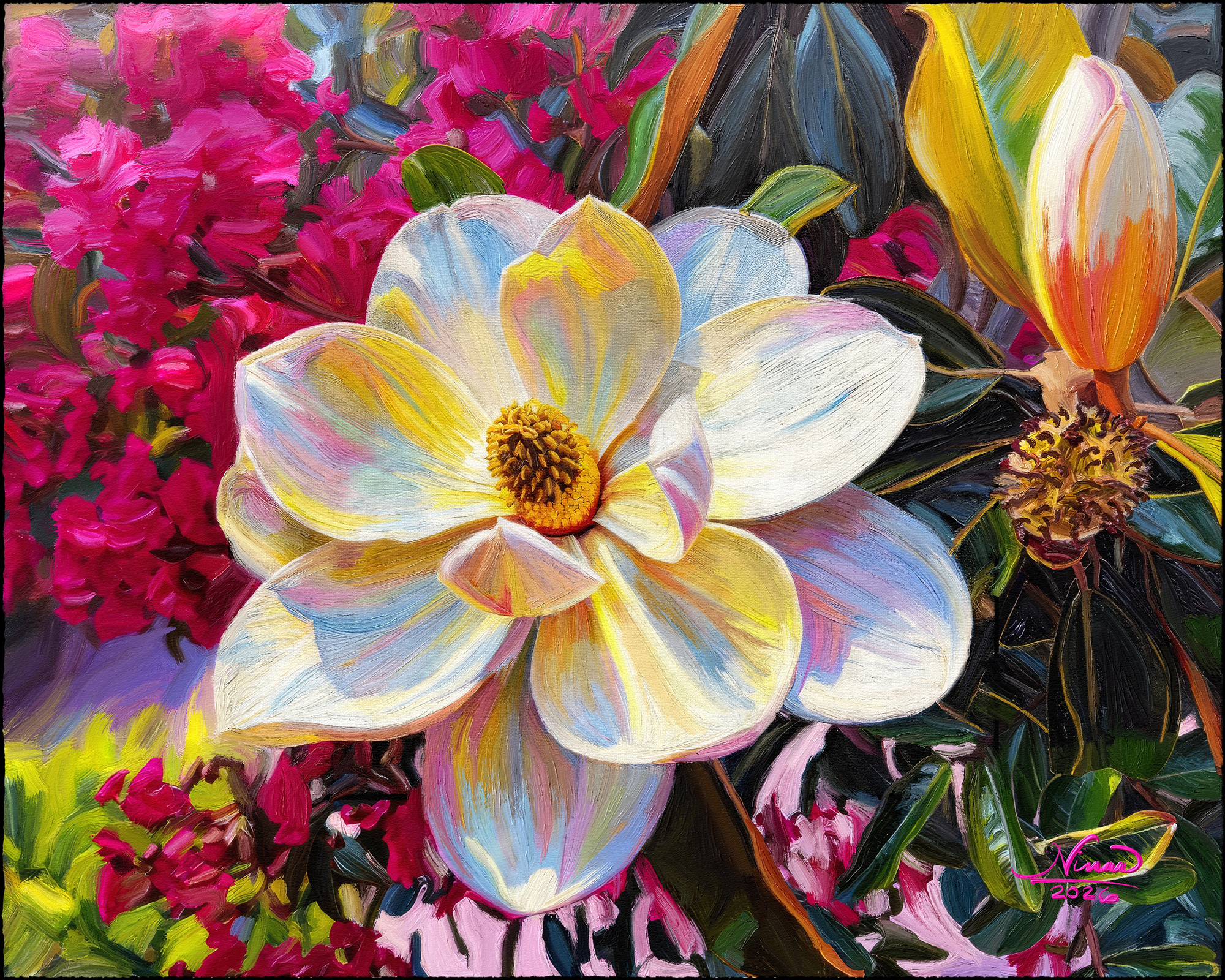 Magnificent Rainbow Magnolia LR